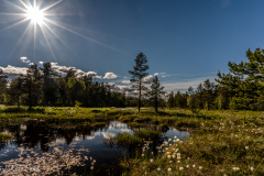 1_DSC06044-Edit-1