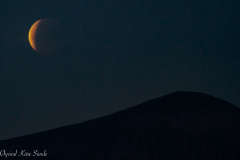 1_DSC07140-1