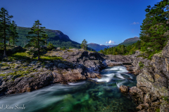 1_DSC0834-2-1