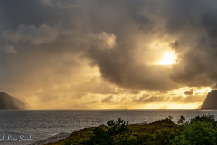 1_DSC08421-2-1