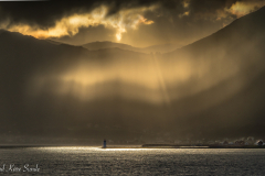 1_DSC08431-2-3