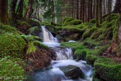 1_DSC08473-2-1