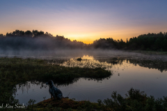 1_DSC08529-1