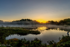 1_DSC08592-1