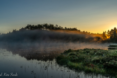1_DSC08621-2-1