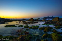 1_DSC1394-2-1