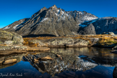 1_DSC1646-2-1