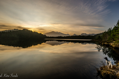 1_DSC4919-2-1