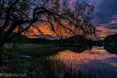1_DSC8109-1