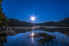 1_Morgen-Rotevatnet-1