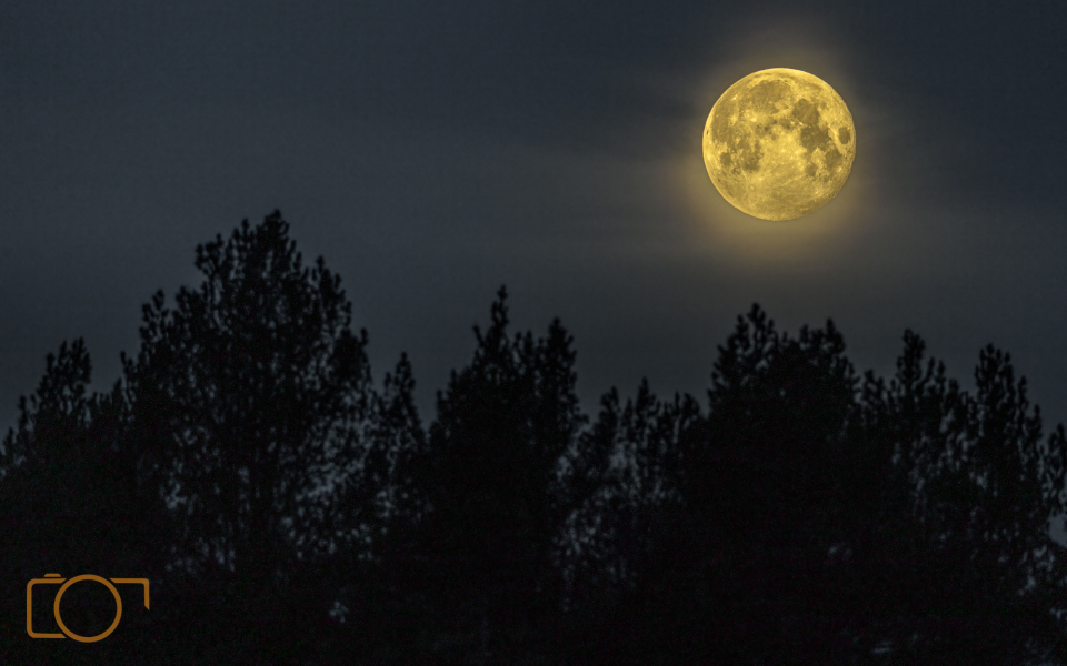 A1S05265-Edit-Edit-2