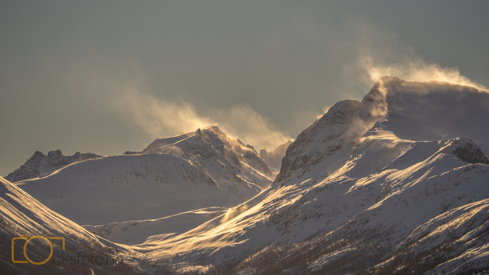 A1S08566-Edit-Edit-2