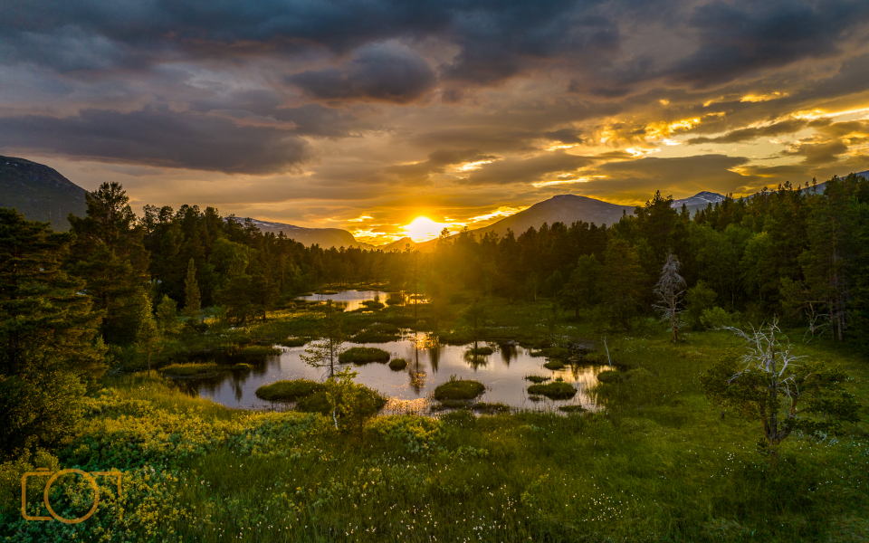 DJI_0684-Edit-2