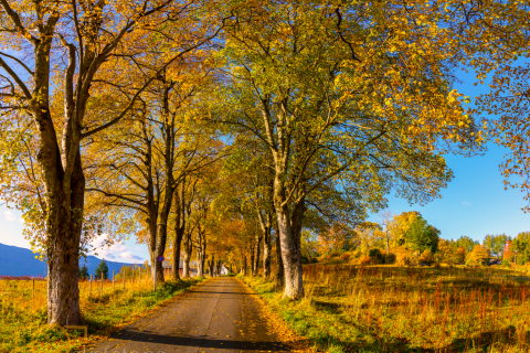 DSC00825-Pano-2