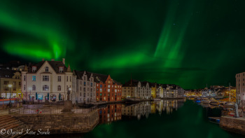 1_DSC00558-4-1-1