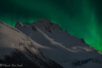 1_DSC01979-2-1