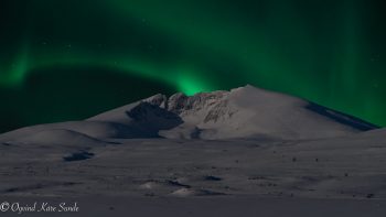 1_DSC02203-3-2-1