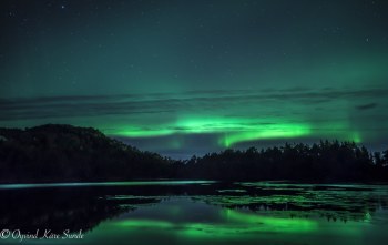 1_DSC2679-1