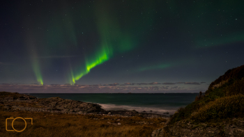 P1310008.jpg