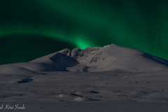 1_DSC02203-3-2-1