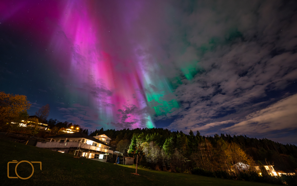 A1S01316-Enhanced-NR