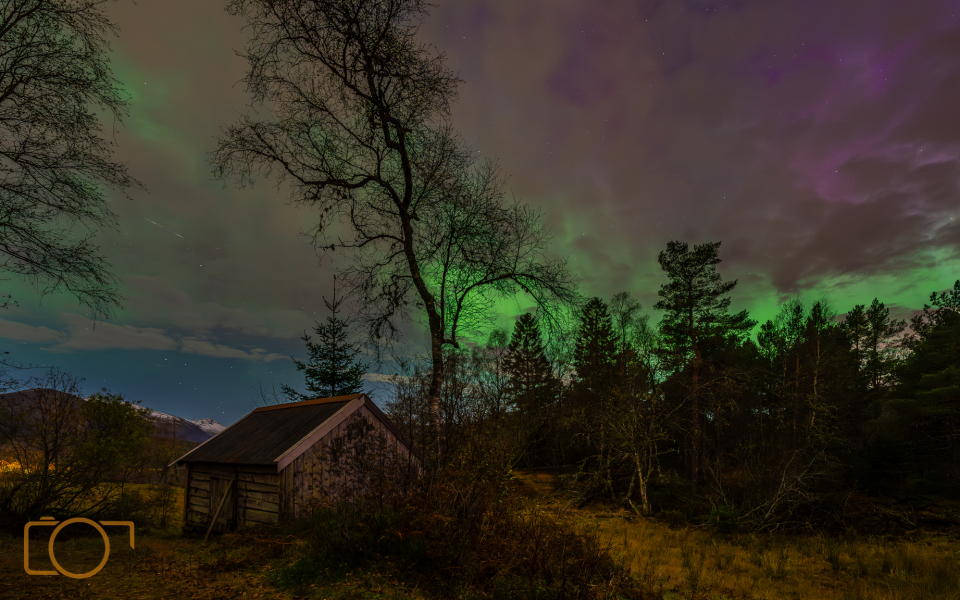 A1S01338-Enhanced-NR-2