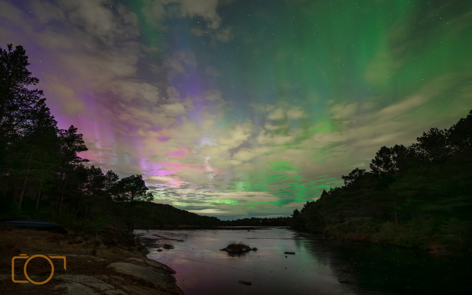 A1S01347-Enhanced-NR